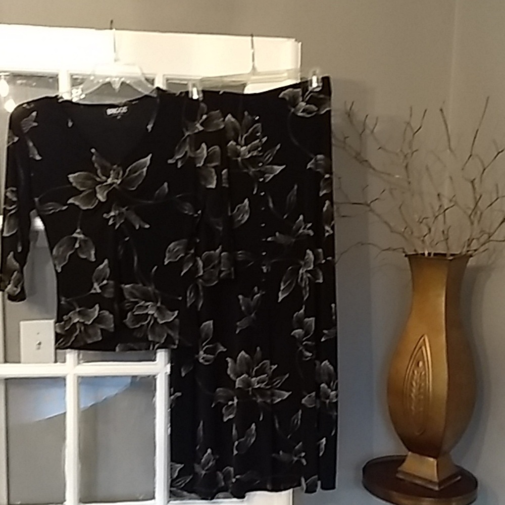 Briggs New York skirt and top set